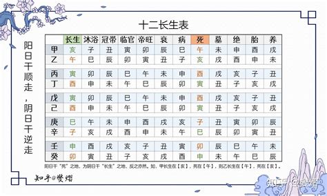 八字十二長生|八字算命基礎——十二長生